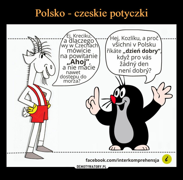 Polsko - czeskie potyczki