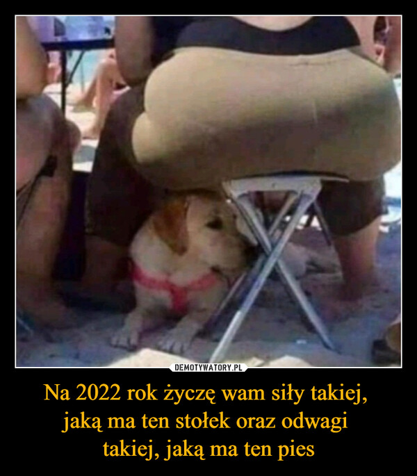 Na 2022 rok życzę wam siły takiej, jaką ma ten stołek oraz odwagi takiej, jaką ma ten pies –  