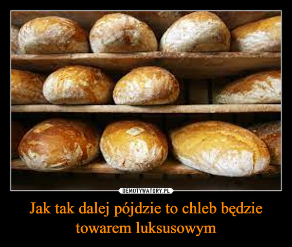 Jak tak dalej pójdzie to chleb będzie towarem luksusowym –  
