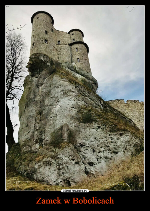 Zamek w Bobolicach –  