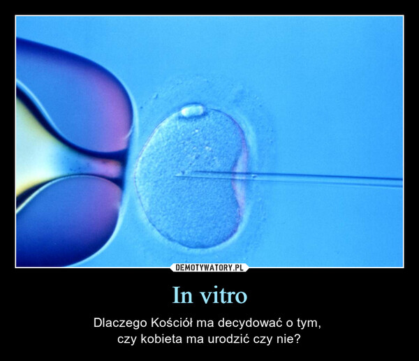 In vitro – Dlaczego Kościół ma decydować o tym, czy kobieta ma urodzić czy nie? 