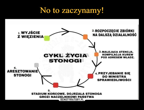  –  6. ARESZTOWANIE STONOGI ł. WYJŚCIE Z WIĘZIENIA 2 ROZPOCZĘCIE ZBIÓRKI NA DALSZĄ DZIAŁALNOSC CYKL ŻYCIA STONOGI 3. MALEJĄCA ATENCJA. KOMPILACJA KUREW POD ADRESEM WŁADZ. 4 PRZYJEBANIE SIĘ DO MINISTRA SPRAWIEDLIWOŚCI 5 STADIUM KONCOWE. DOJRZAŁA STONOGA GROZI NACZELNIKOWI PANSTWA