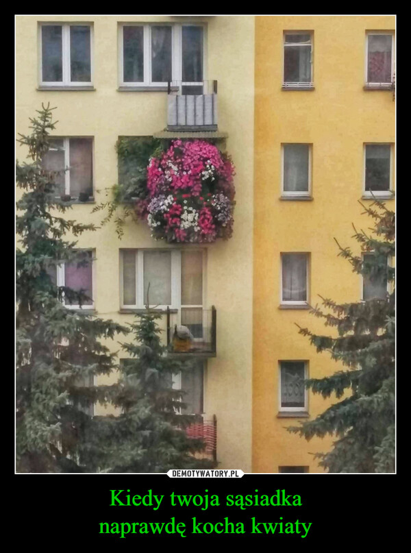 Kiedy twoja sąsiadka
naprawdę kocha kwiaty
