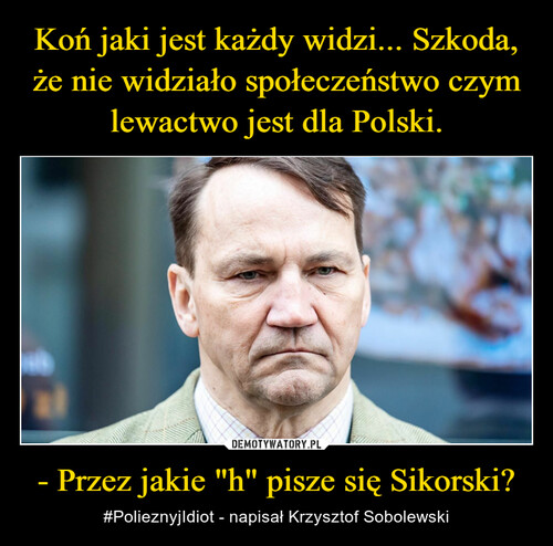 Koń jaki jest każdy widzi... Szkoda, że nie widziało społeczeństwo czym lewactwo jest dla Polski. - Przez jakie "h" pisze się Sikorski?