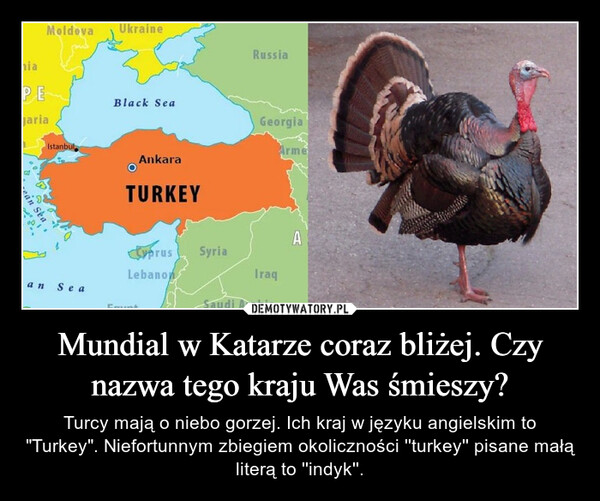 Mundial w Katarze coraz bliżej. Czy nazwa tego kraju Was śmieszy? – Turcy mają o niebo gorzej. Ich kraj w języku angielskim to "Turkey". Niefortunnym zbiegiem okoliczności ''turkey'' pisane małą literą to ''indyk''. 