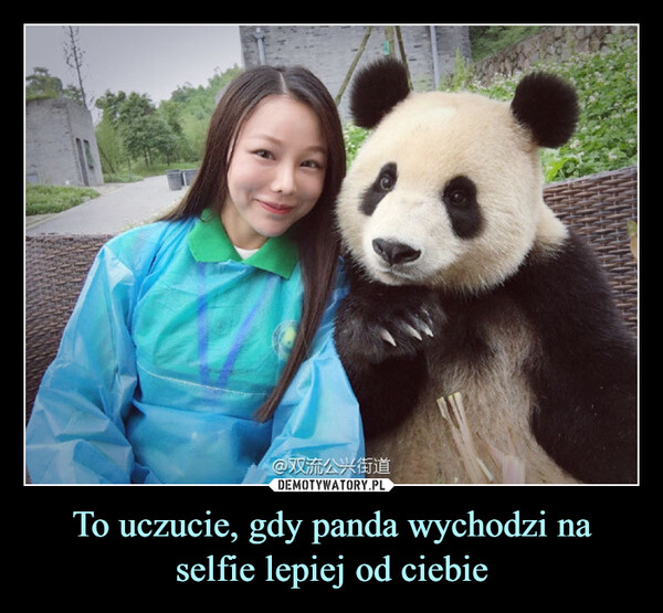 To uczucie, gdy panda wychodzi na selfie lepiej od ciebie –  