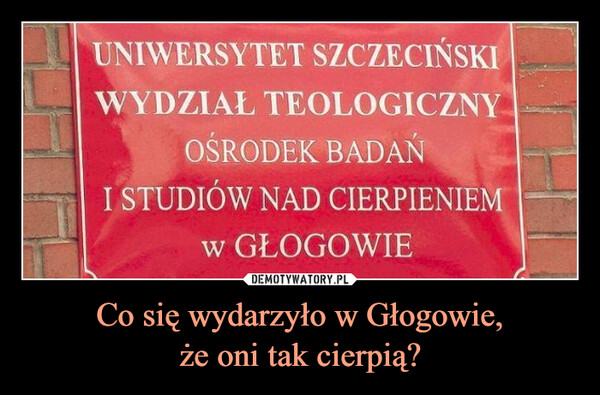 Co się wydarzyło w Głogowie,że oni tak cierpią? –  uniwersytet szczeciński wydział teologicznyvyd:OŚRODEK BADANI STUDIÓW NAD CIERPIENIEM w GŁOGOWIE