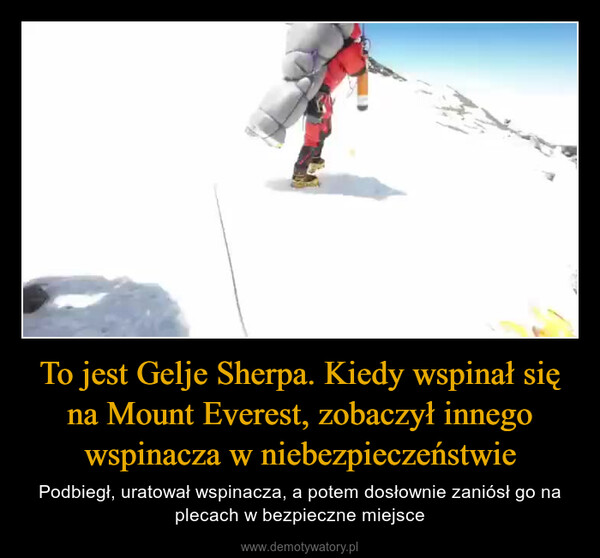 To jest Gelje Sherpa. Kiedy wspinał się na Mount Everest, zobaczył innego wspinacza w niebezpieczeństwie – Podbiegł, uratował wspinacza, a potem dosłownie zaniósł go na plecach w bezpieczne miejsce 