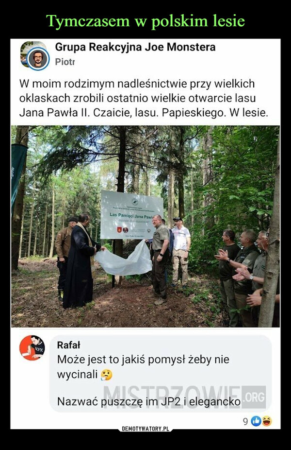 Tymczasem w polskim lesie