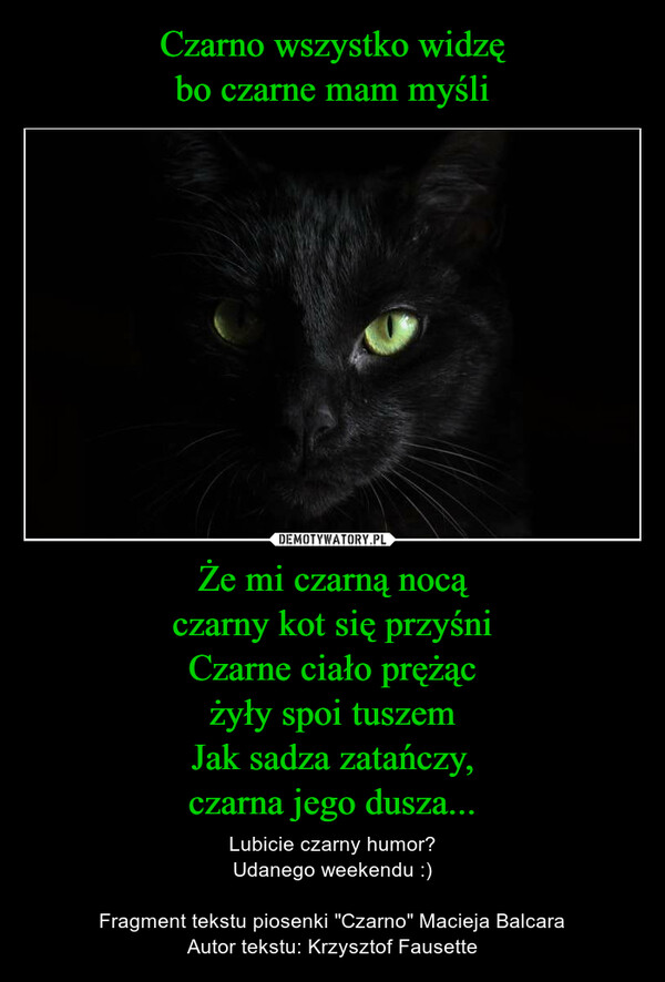 Czarno wszystko widzę
bo czarne mam myśli Że mi czarną nocą
czarny kot się przyśni
Czarne ciało prężąc
żyły spoi tuszem
Jak sadza zatańczy,
czarna jego dusza...