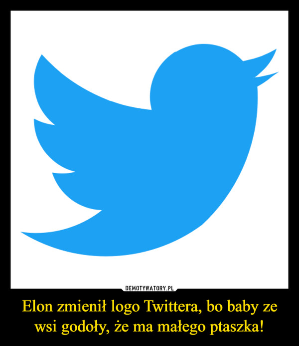 Elon zmienił logo Twittera, bo baby ze wsi godoły, że ma małego ptaszka! –  