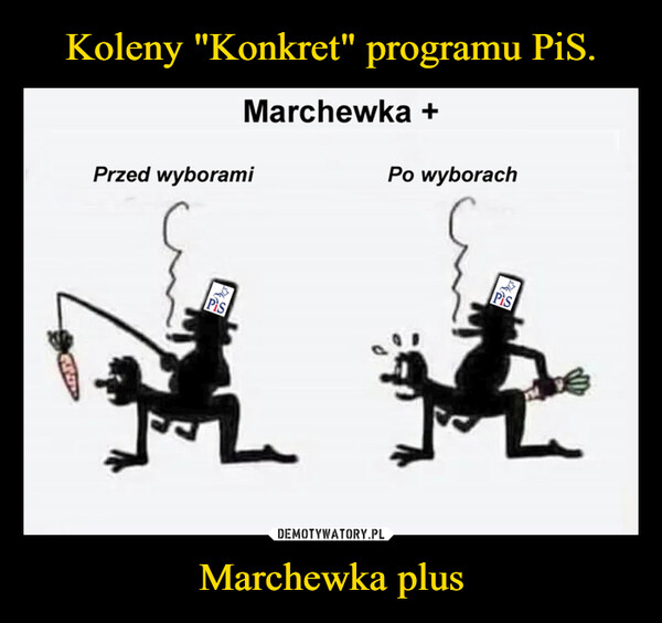 Koleny "Konkret" programu PiS. Marchewka plus