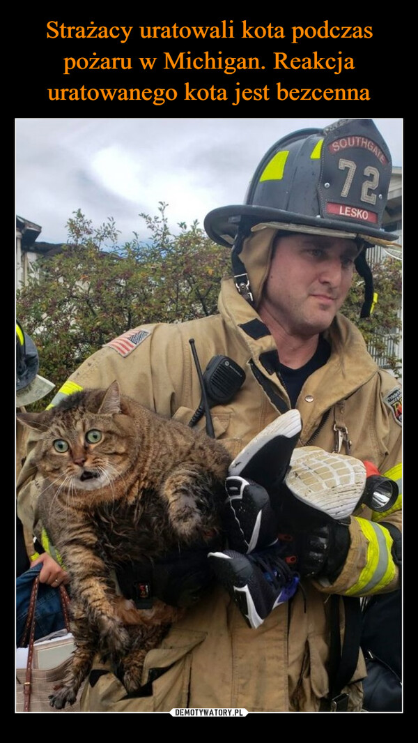Strażacy uratowali kota podczas pożaru w Michigan. Reakcja uratowanego kota jest bezcenna