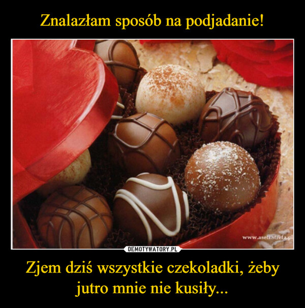Zjem dziś wszystkie czekoladki, żeby jutro mnie nie kusiły... –  www.aseff.strefa.pl