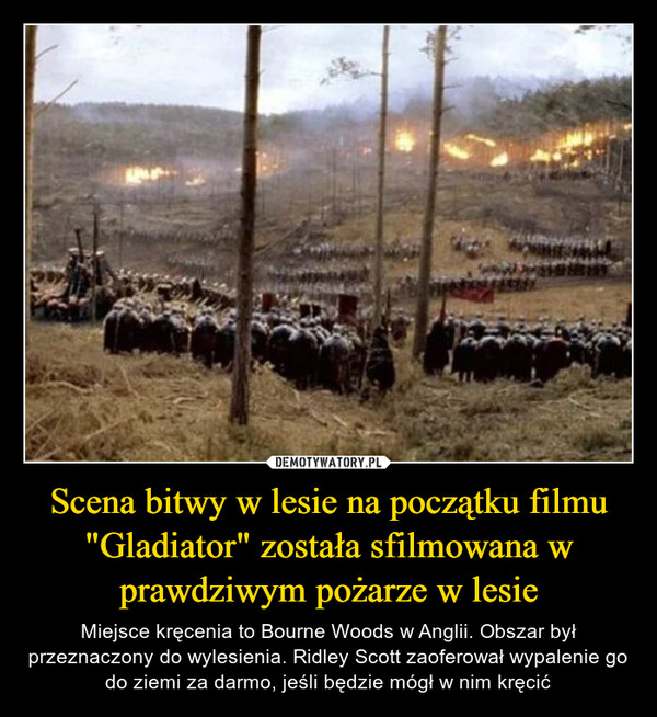 Scena bitwy w lesie na początku filmu "Gladiator" została sfilmowana w prawdziwym pożarze w lesie – Miejsce kręcenia to Bourne Woods w Anglii. Obszar był przeznaczony do wylesienia. Ridley Scott zaoferował wypalenie go do ziemi za darmo, jeśli będzie mógł w nim kręcić 