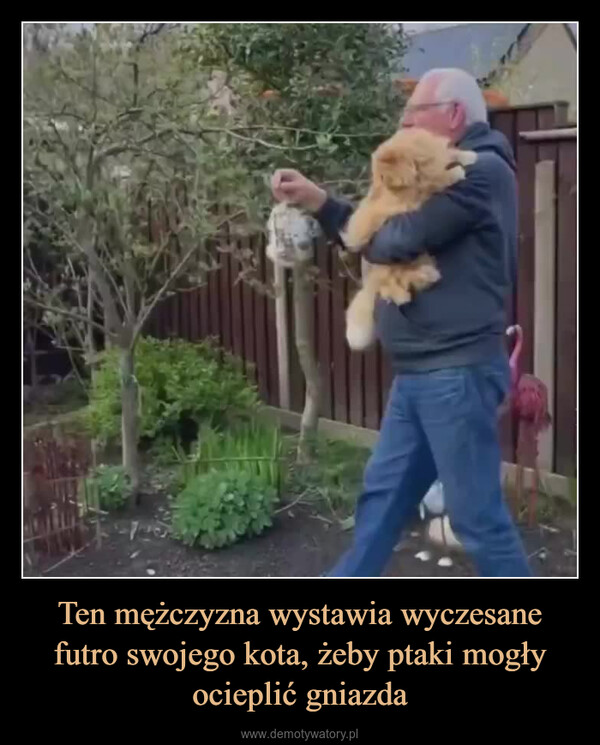 Ten mężczyzna wystawia wyczesane futro swojego kota, żeby ptaki mogły ocieplić gniazda –  