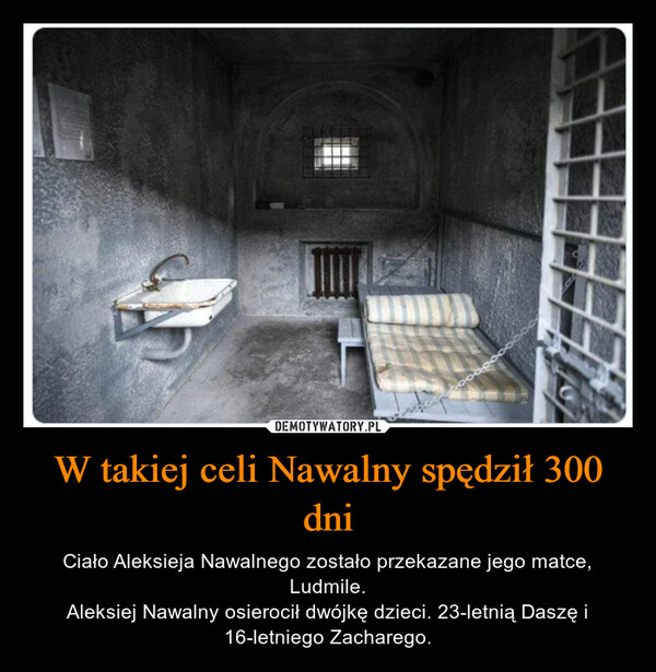 W takiej celi Nawalny spędził 300 dni
