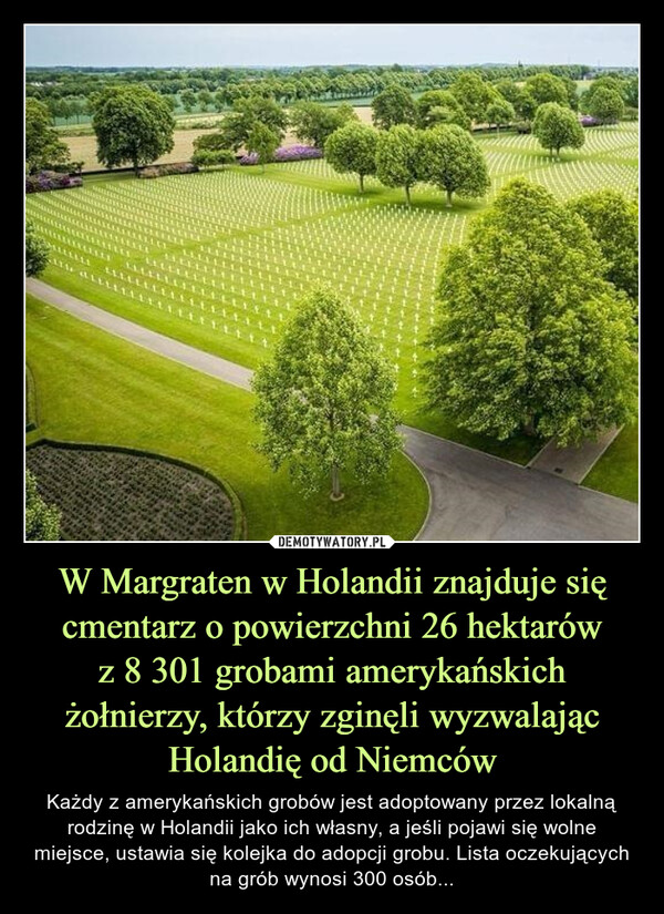 W Margraten w Holandii znajduje się cmentarz o powierzchni 26 hektarówz 8 301 grobami amerykańskich żołnierzy, którzy zginęli wyzwalając Holandię od Niemców – Każdy z amerykańskich grobów jest adoptowany przez lokalną rodzinę w Holandii jako ich własny, a jeśli pojawi się wolne miejsce, ustawia się kolejka do adopcji grobu. Lista oczekujących na grób wynosi 300 osób... Każdy z amerykańskich grobów jest adoptowany przez lokalną rodzinę w Holandii jako ich własny, a jeśli pojawi się wolne miejsce, ustawia się kolejka do adopcji grobu. Lista oczekujących na grób wynosi 300 osób...