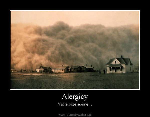 Alergicy – Macie przejebane...  